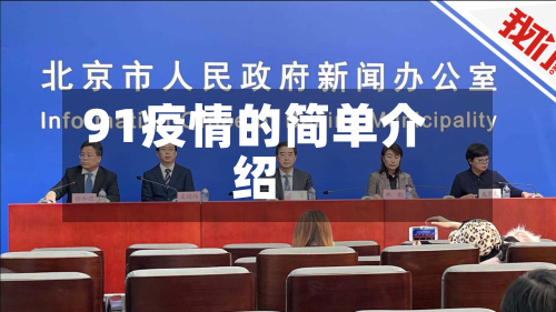 91疫情的简单介绍