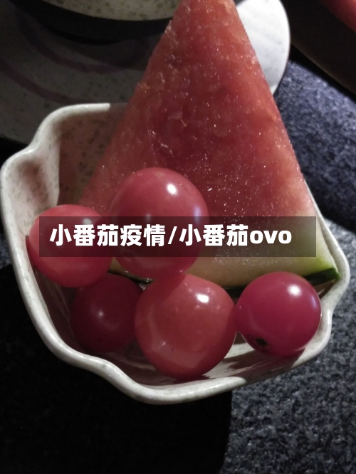 小番茄疫情/小番茄ovo