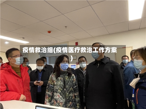 疫情救治细(疫情医疗救治工作方案)-第2张图片