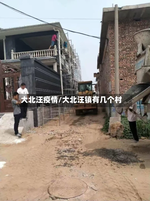 大北汪疫情/大北汪镇有几个村