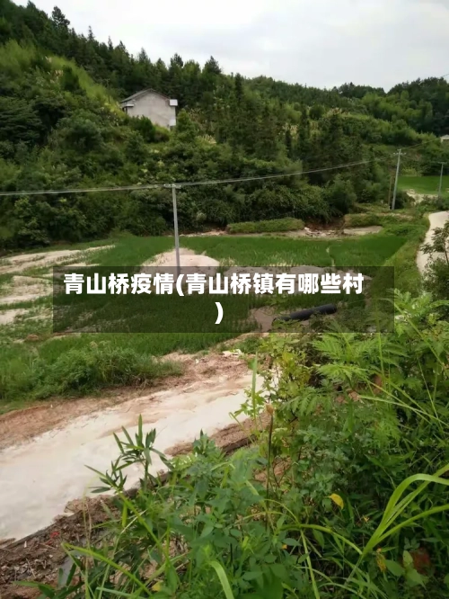 青山桥疫情(青山桥镇有哪些村)-第2张图片