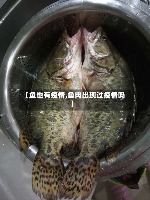 【鱼也有疫情,鱼肉出现过疫情吗】-第2张图片