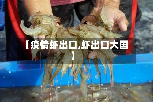 【疫情虾出口,虾出口大国】-第2张图片