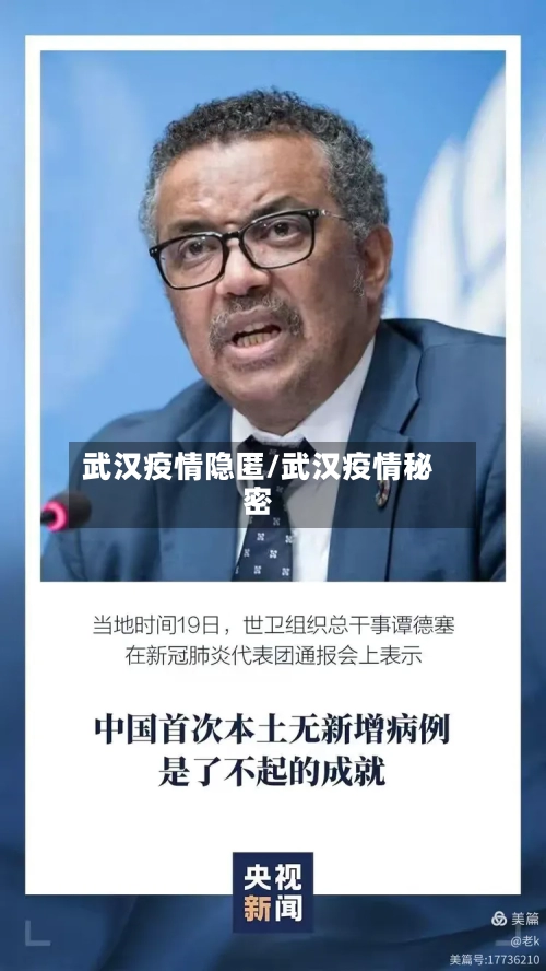 武汉疫情隐匿/武汉疫情秘密