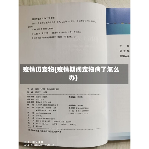 疫情仍宠物(疫情期间宠物病了怎么办)-第3张图片