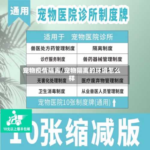 宠物疫情隔离/宠物隔离的环境怎么样