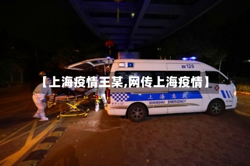 【上海疫情王某,网传上海疫情】-第2张图片