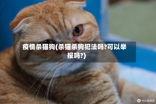 疫情杀猫狗(杀猫杀狗犯法吗?可以举报吗?)