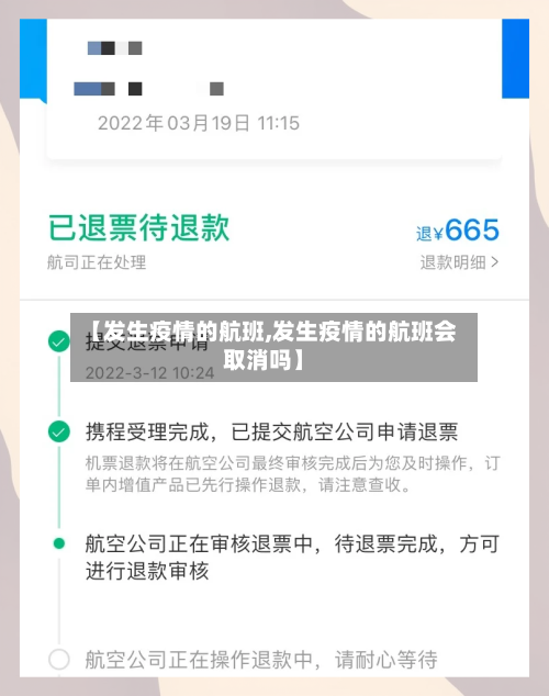 【发生疫情的航班,发生疫情的航班会取消吗】-第2张图片
