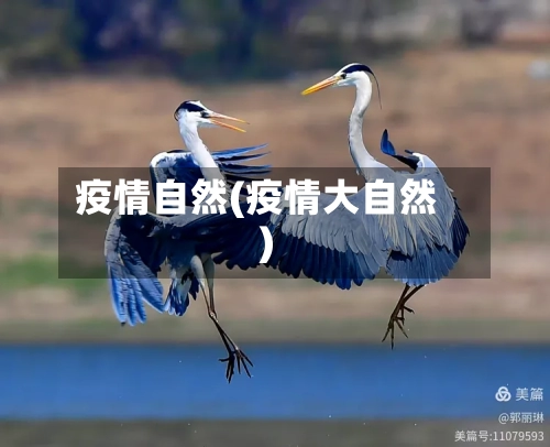 疫情自然(疫情大自然)