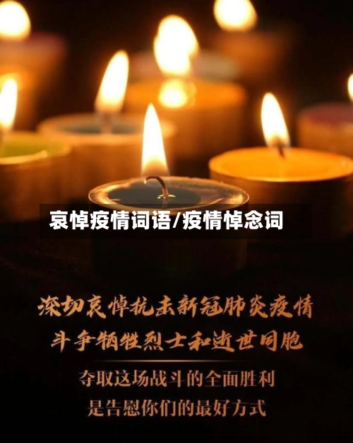 哀悼疫情词语/疫情悼念词