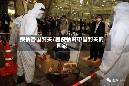 疫情各国封关/因疫情对中国封关的国家-第2张图片