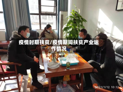 疫情时期扶贫/疫情期间扶贫产业运作情况-第3张图片