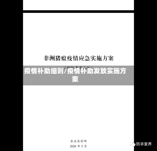 疫情补助细则/疫情补助发放实施方案-第2张图片