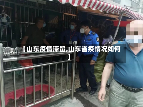 【山东疫情滞留,山东省疫情况如何】-第2张图片