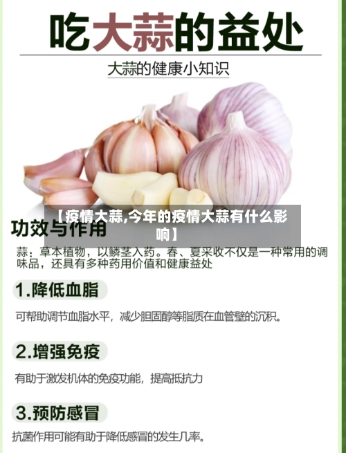 【疫情大蒜,今年的疫情大蒜有什么影响】-第2张图片