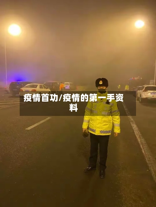 疫情首功/疫情的第一手资料-第2张图片