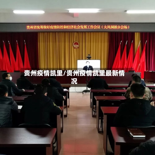 贵州疫情凯里/贵州疫情凯里最新情况-第2张图片