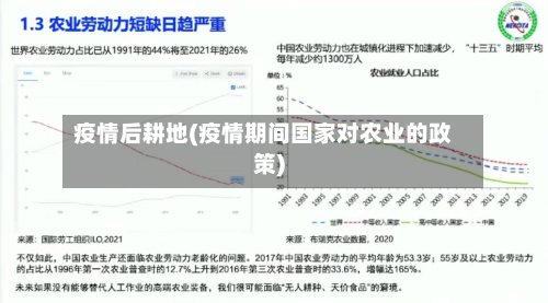 疫情后耕地(疫情期间国家对农业的政策)-第3张图片