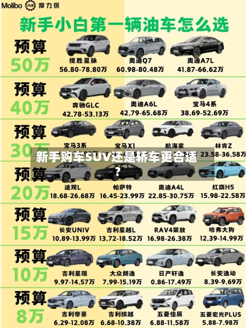 新手购车SUV还是轿车更合适?