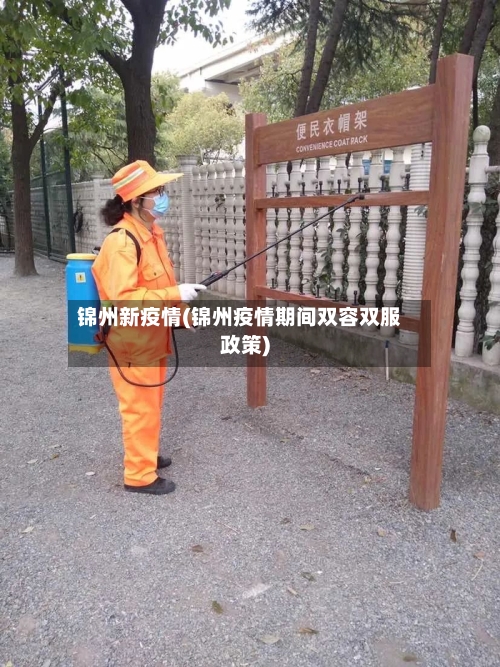 锦州新疫情(锦州疫情期间双容双服政策)-第3张图片