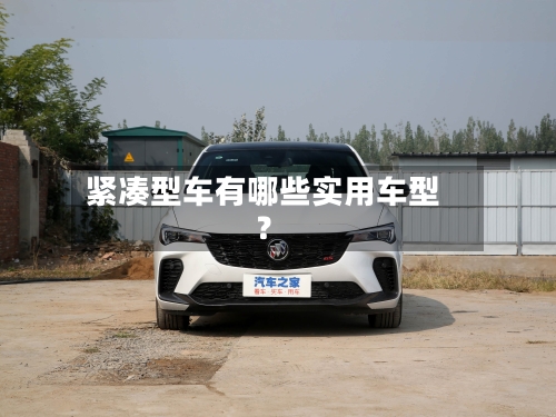 紧凑型车有哪些实用车型?