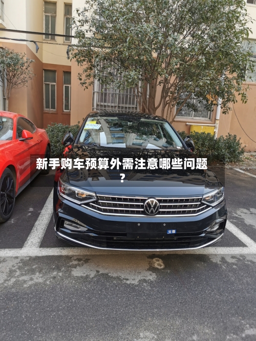 新手购车预算外需注意哪些问题?