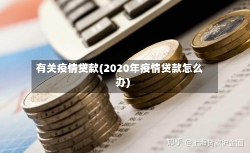 有关疫情贷款(2020年疫情贷款怎么办)-第2张图片