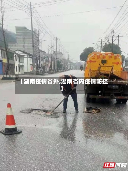【湖南疫情省外,湖南省内疫情防控】-第2张图片