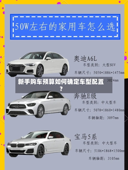 新手购车预算如何确定车型配置?-第3张图片