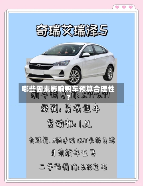 哪些因素影响购车预算合理性？