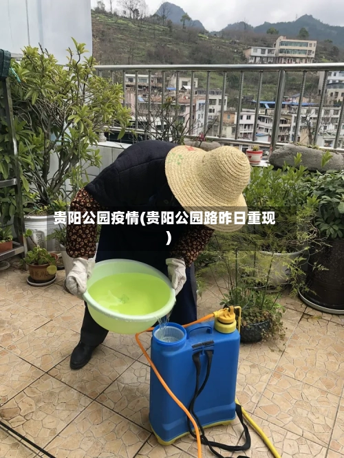 贵阳公园疫情(贵阳公园路昨日重现)