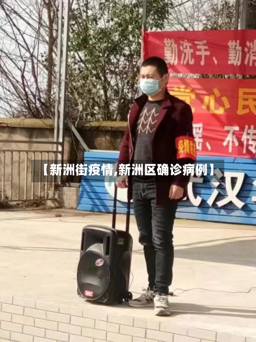 【新洲街疫情,新洲区确诊病例】-第2张图片