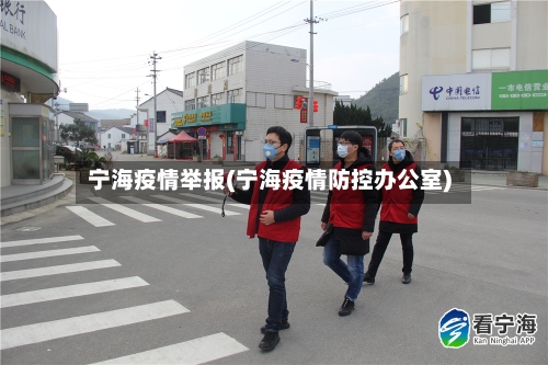 宁海疫情举报(宁海疫情防控办公室)-第3张图片