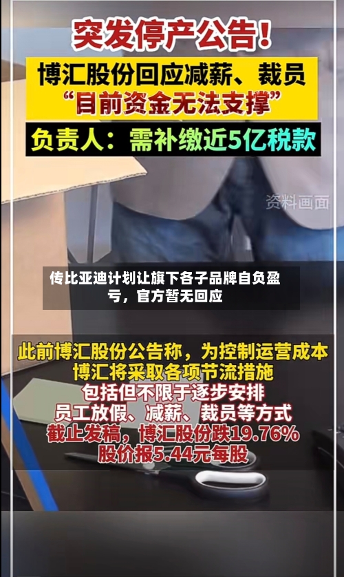 传比亚迪计划让旗下各子品牌自负盈亏,官方暂无回应