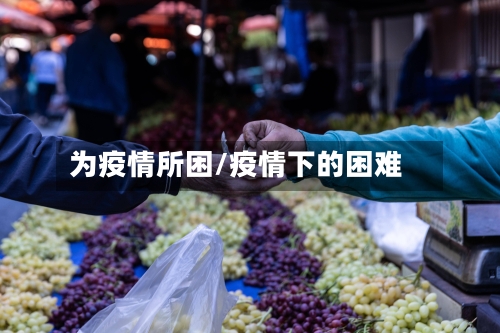 为疫情所困/疫情下的困难-第2张图片