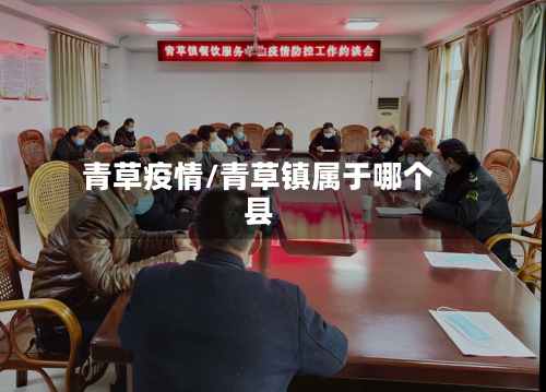 青草疫情/青草镇属于哪个县