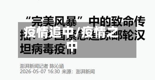 疫情追中/疫情之中-第2张图片