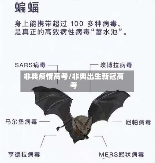 非典疫情高考/非典出生新冠高考-第2张图片