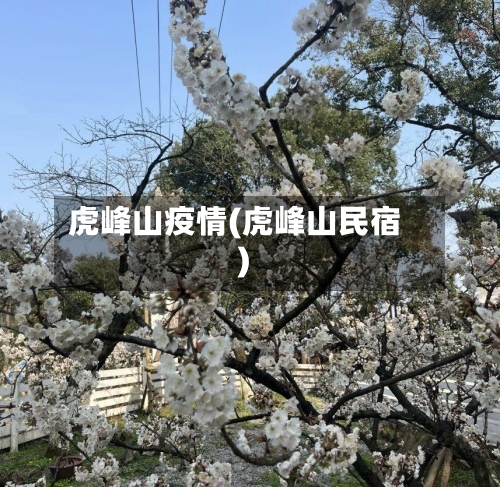 虎峰山疫情(虎峰山民宿)-第3张图片