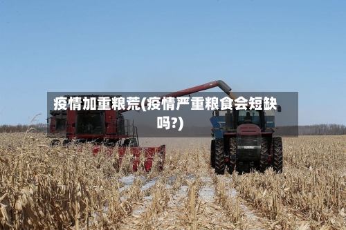 疫情加重粮荒(疫情严重粮食会短缺吗?)