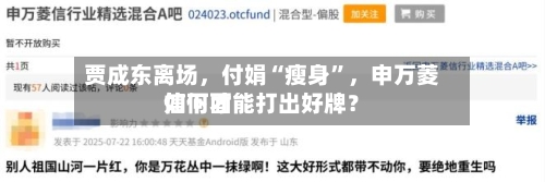 贾成东离场,付娟“瘦身”,申万菱信下面
如何才能打出好牌?