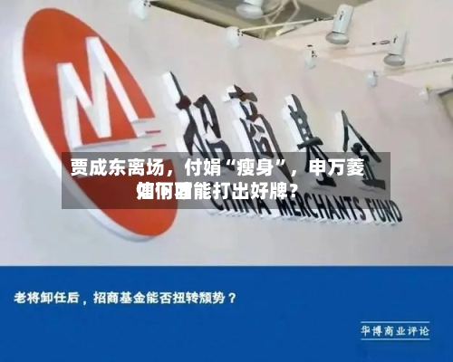 贾成东离场，付娟“瘦身	”	，申万菱信下面如何才能打出好牌？-第2张图片
