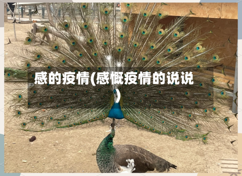 感的疫情(感慨疫情的说说)-第2张图片