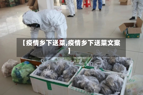 【疫情乡下送菜,疫情乡下送菜文案】-第2张图片