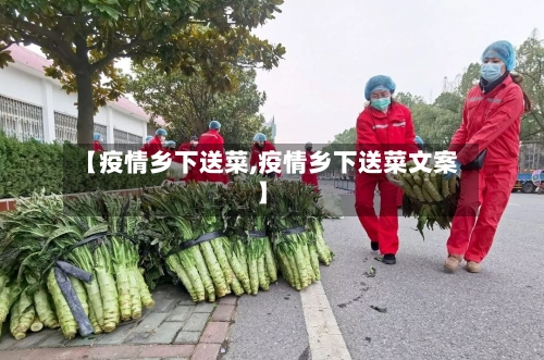 【疫情乡下送菜,疫情乡下送菜文案】