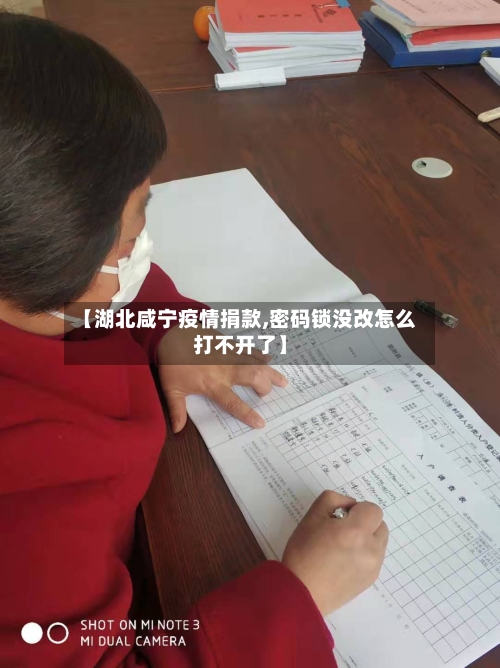 【湖北咸宁疫情捐款,密码锁没改怎么打不开了】-第2张图片