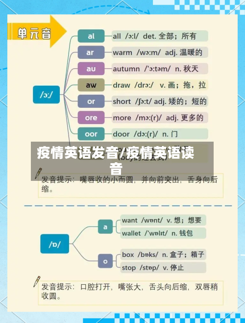 疫情英语发音/疫情英语读音