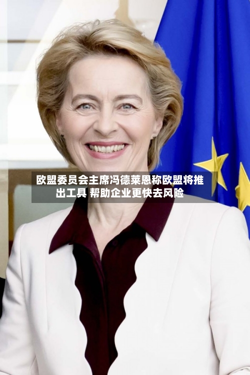 欧盟委员会主席冯德莱恩称欧盟将推出工具 帮助企业更快去风险-第3张图片