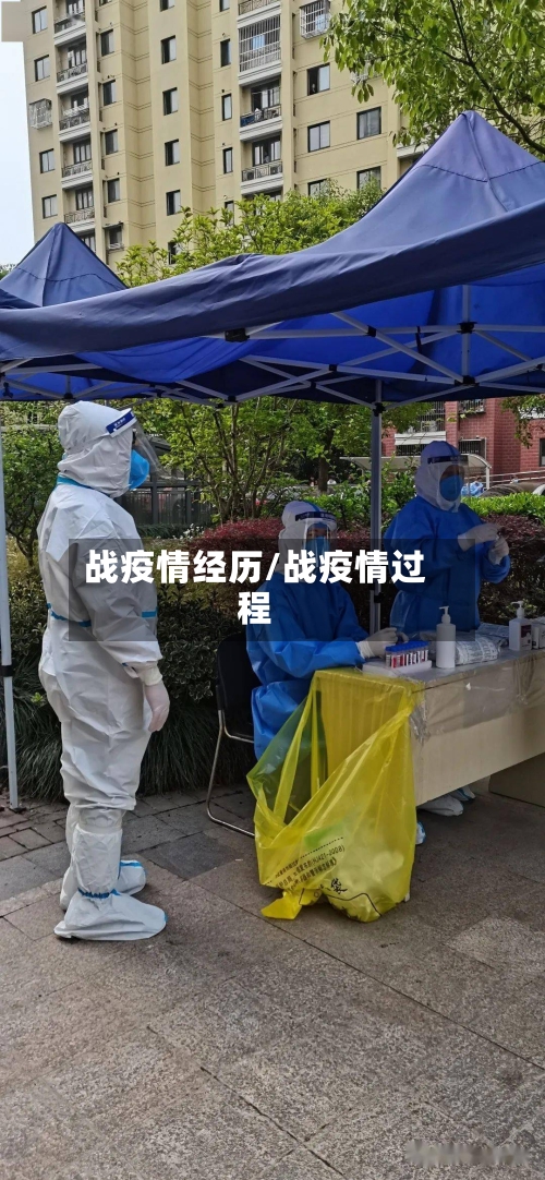 战疫情经历/战疫情过程